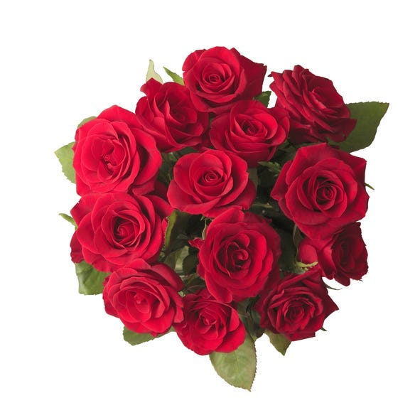 Roses, Flowers