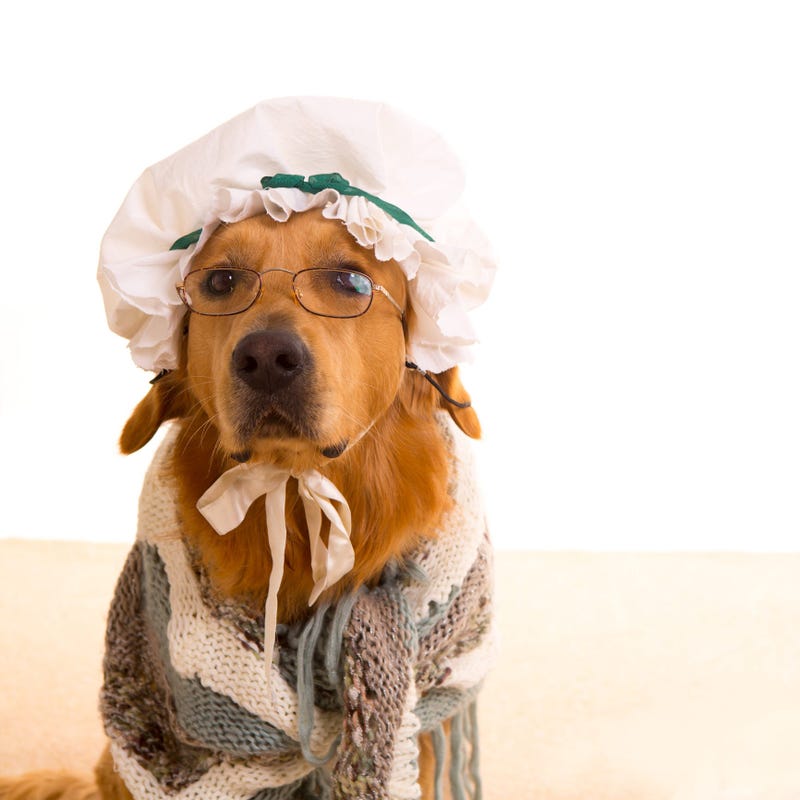 Dog Grandma Costume
