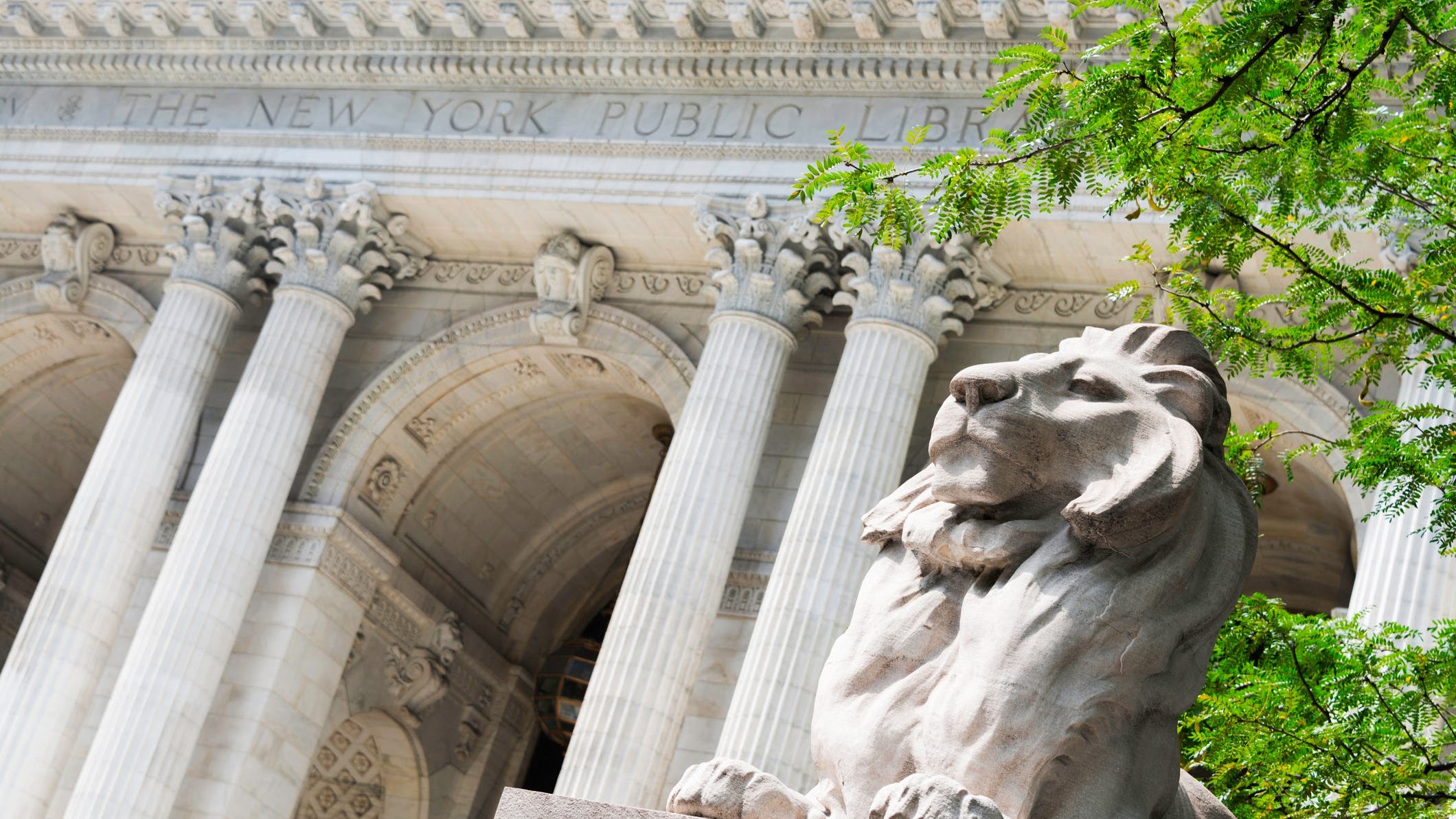 Iconic Lion Statues Outside New York Public Library To Undergo Cleanup