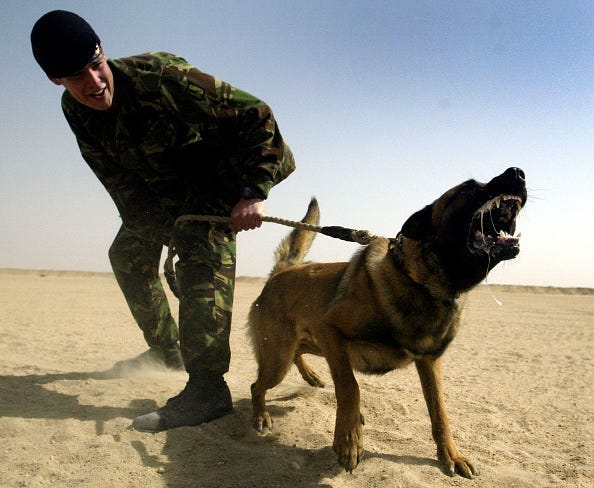 Perros