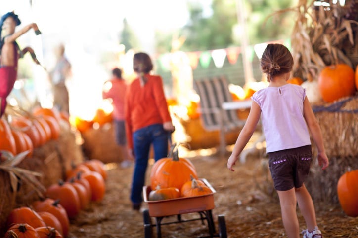 fall activities