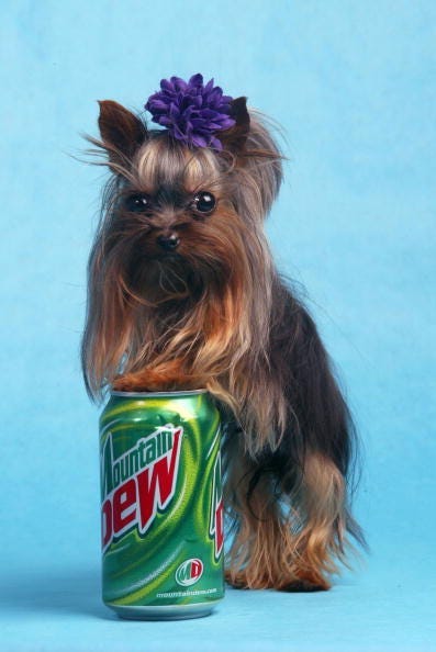 Mountain Dew