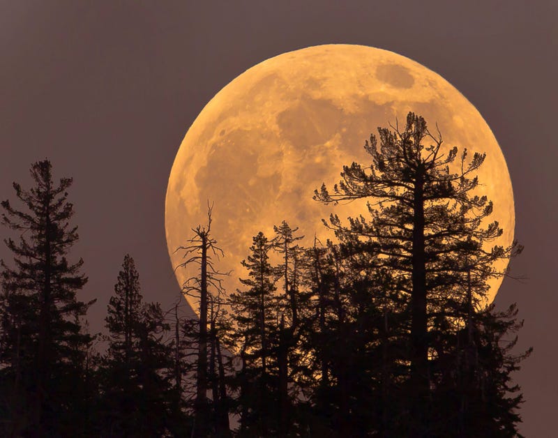 Super Moon 