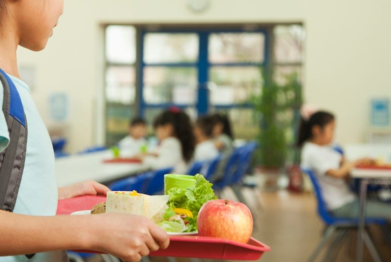 Lunch, Girl, Student, School, Cafeteria