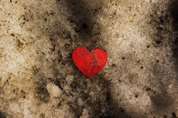 Heart