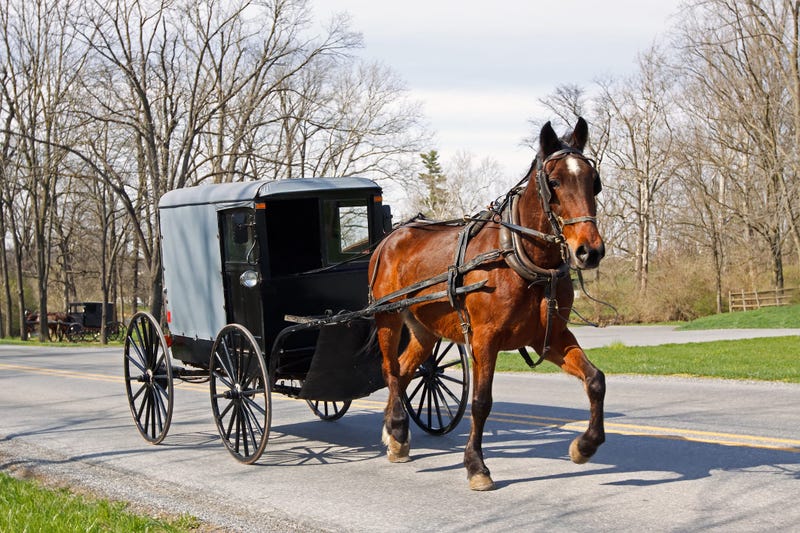 Amish Buggy