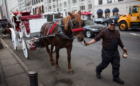 A horse drawn carriage operator walks his horse along the side of the road while waiting to take tourists on tours through Central Park on March 11, 2014 in New York City. New York City Mayor Bill De Blasio has proposed a ban on the carriages, though oppo