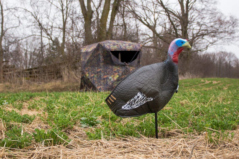 turkey decoy