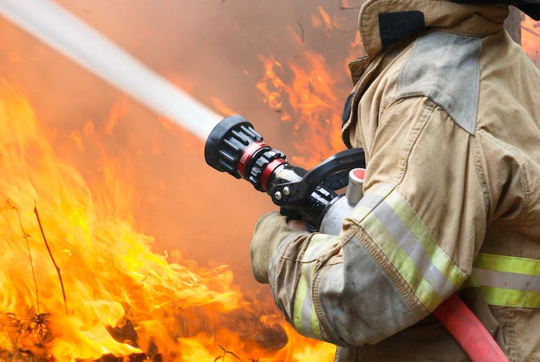 Firefighter, Fire, Forest, Water,