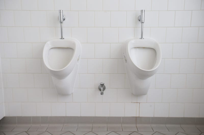 Urinals hang on a wall in a newly-inaugurated gender-free toilet at the office building of the city's Senate Administration for Work, Integration and Women (Senatsverwaltung fuer Arbeit, Integration und Frauen) on November 24, 2015 in Berlin, Germany.