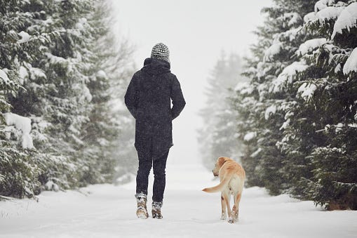winter hike