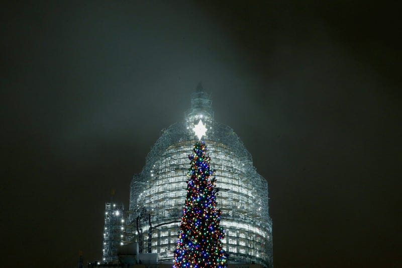 tree holiday