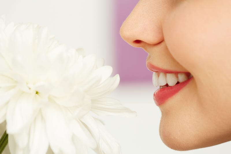 smell
