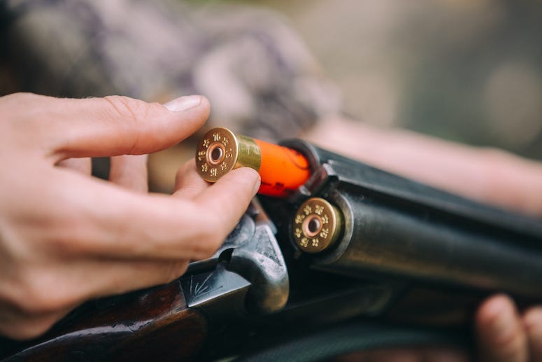 Shotgun, Rounds, Woods