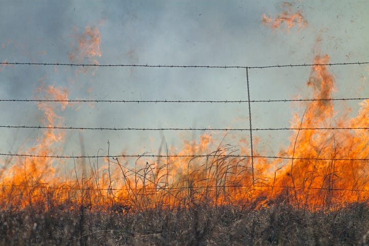 Wildfire