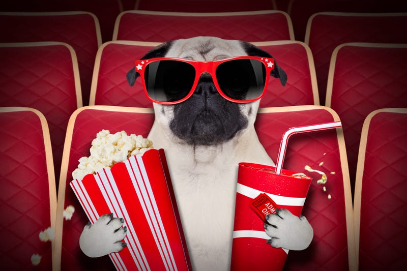 Dog at theater
