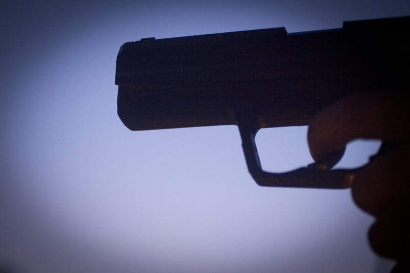 Real Gun Or Fake Gun?