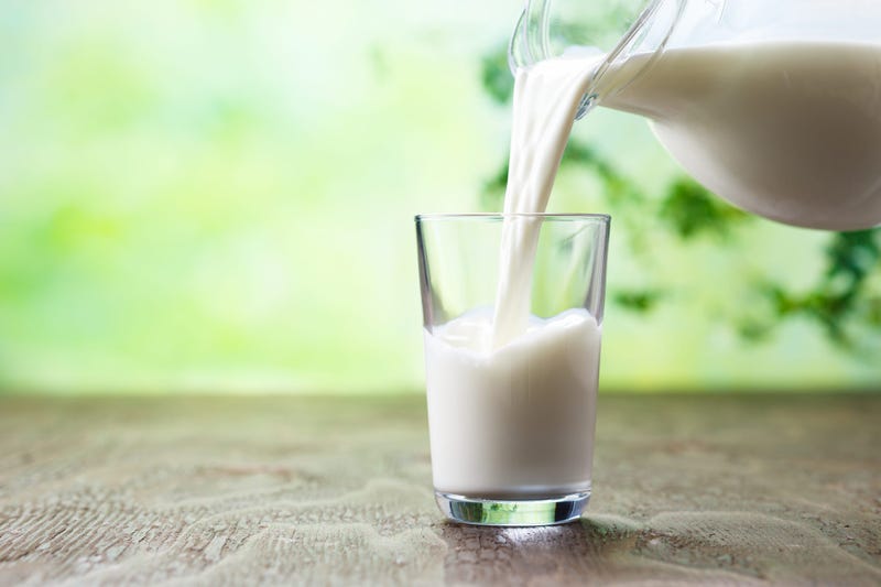 Glass of Milk