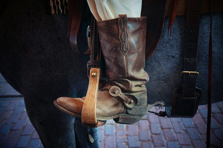 Cowboy Boot, Horse, Stirrup