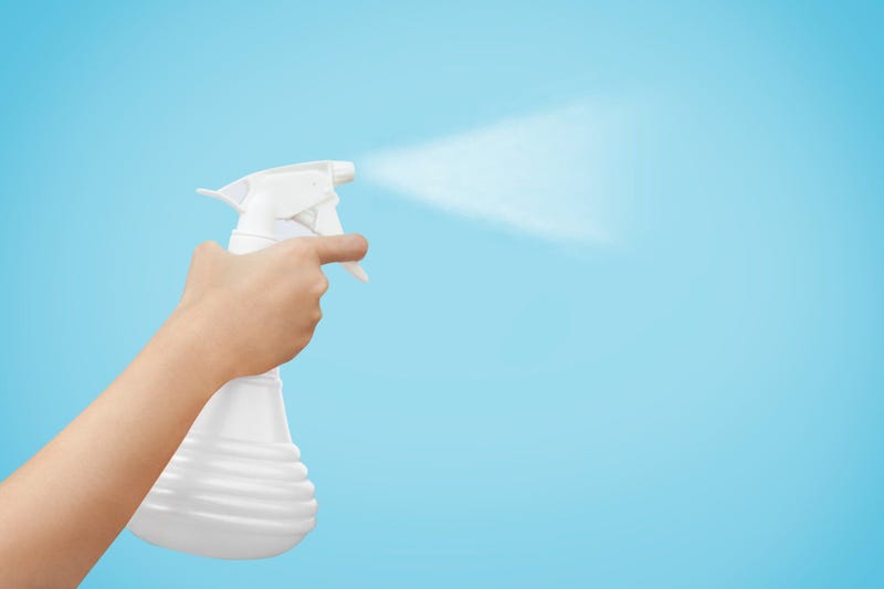 Cleaning Spray Bottle