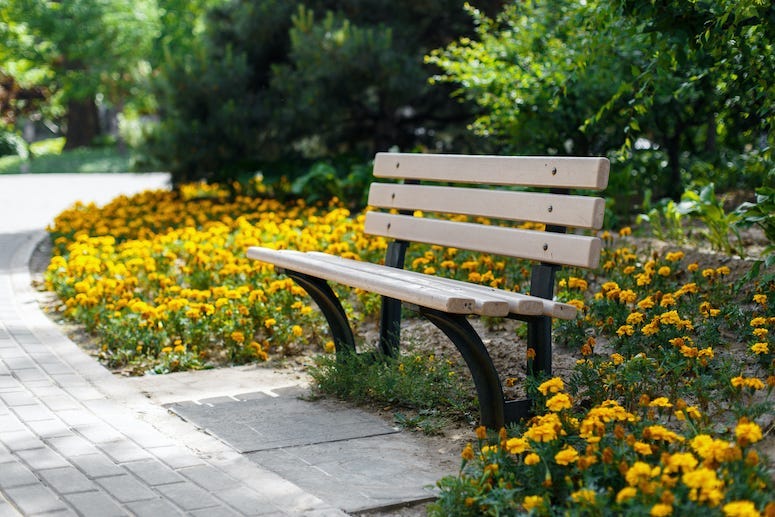 Park Bench, Flower Bed