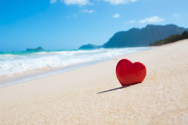 Love Island 
