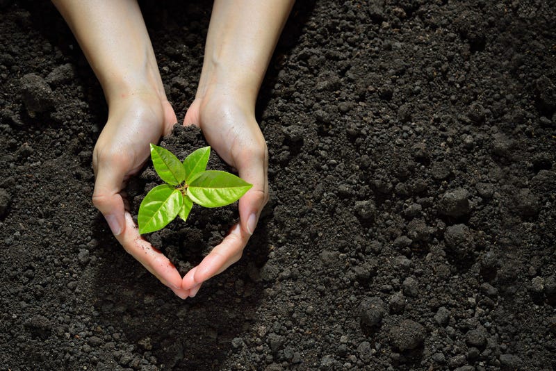 garden-soil-GettyImages-637583458.jpg
