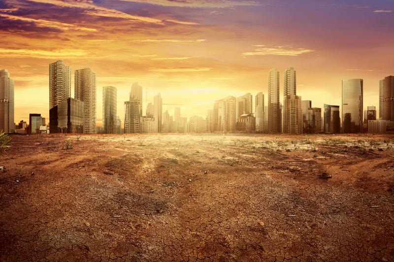 wasteland