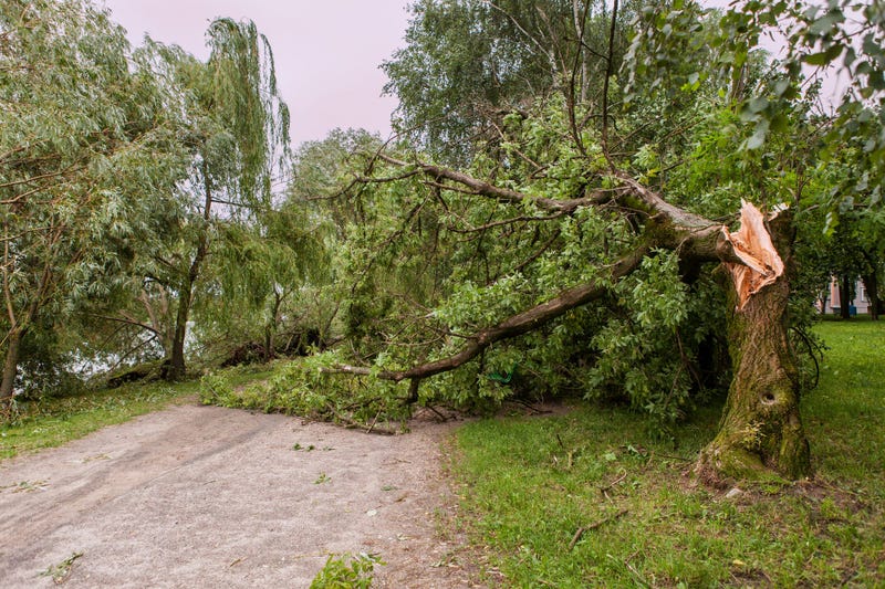 Parks up and down Western part of state badly damaged
