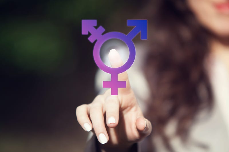 Trans Inclusion