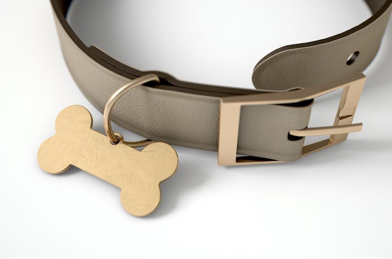 Leather Dog Collar, Dog Bone Tag