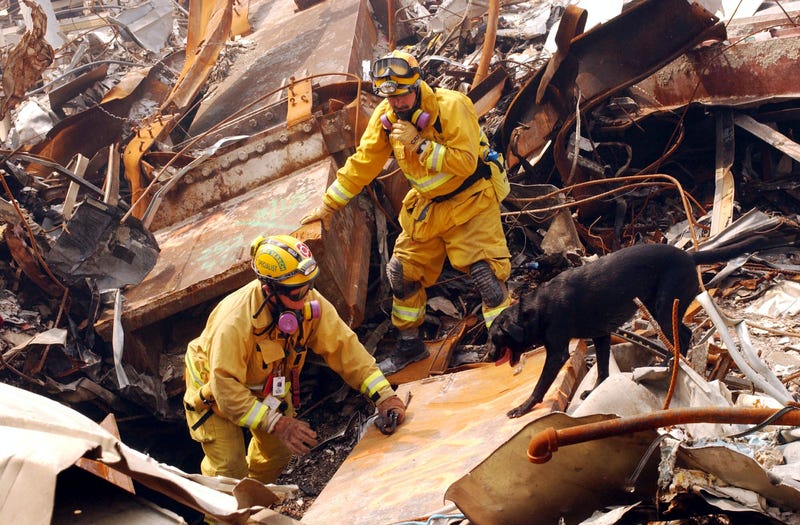 9/11 search and rescue dog