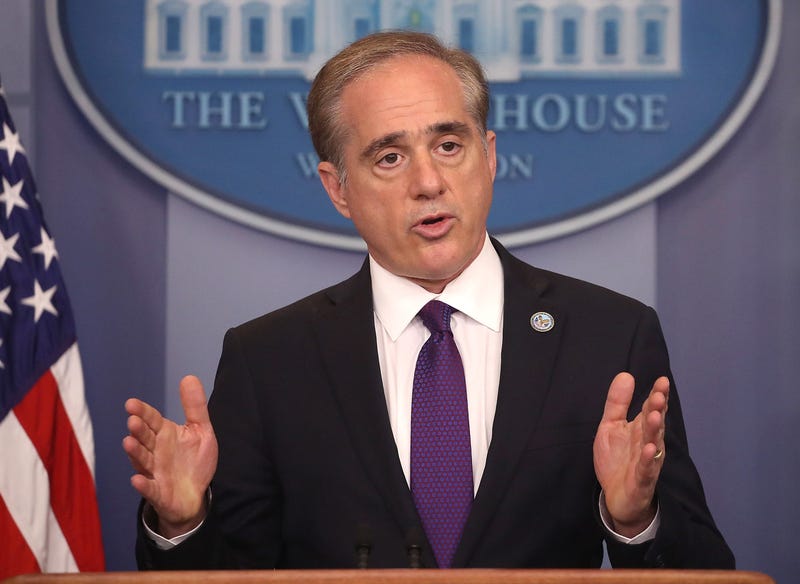 Former VA Secy David Shulkin 
