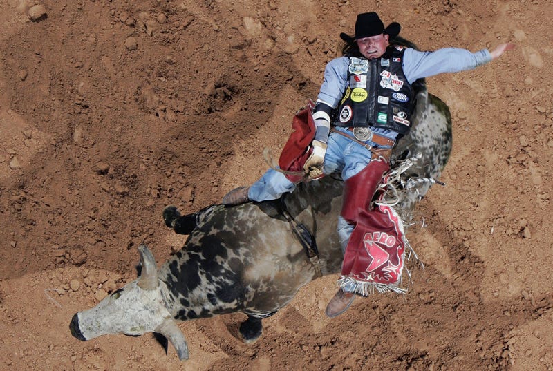 Scott Schiffner of Canada rides "Pudd" during the Professional Bull Riders World Finals