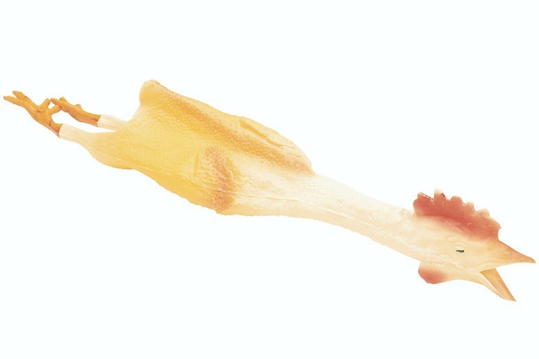 Rubber Chicken, White Background