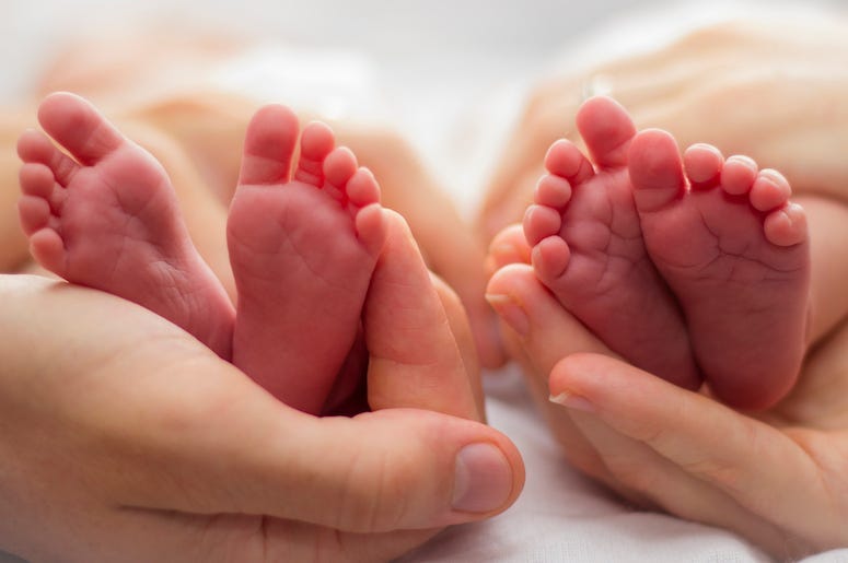 Twins, Babies, Feet, Parents, Hands