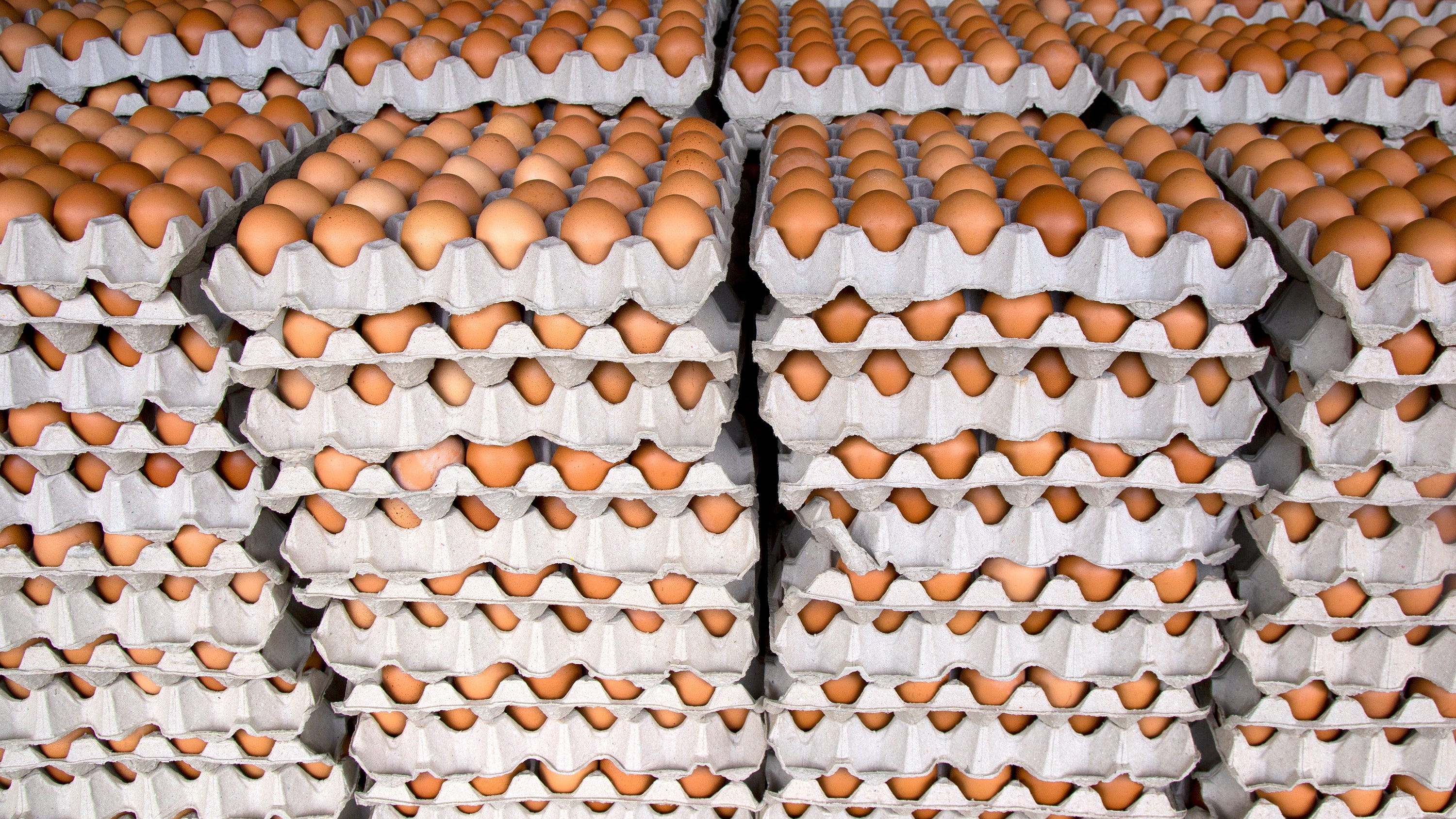 Pa. lawmakers urge Wolf to help fix food-supply chain, protect meat packers