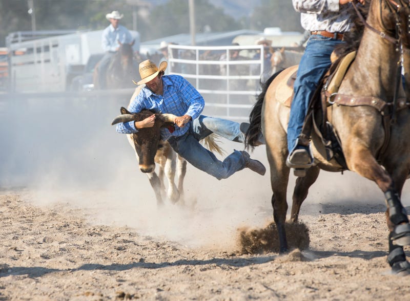 Cowboys competing at a rodeo