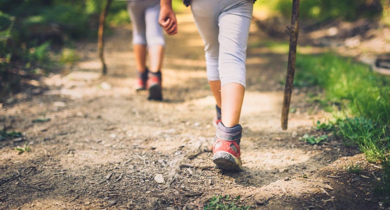 hiking, trail, park, walk,