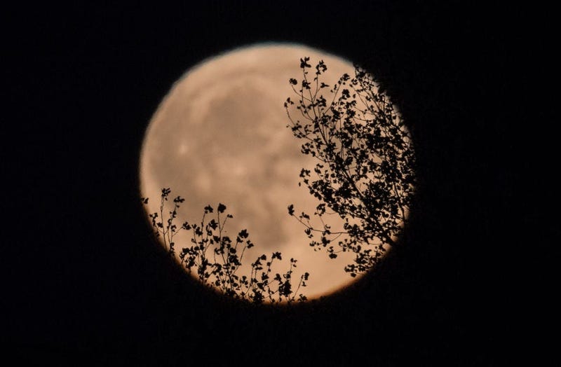 harvest moon somerset, england