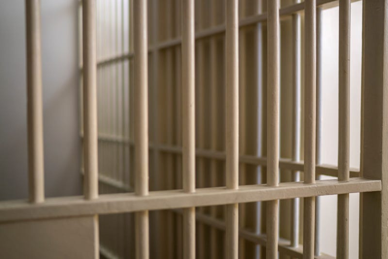 Prison Bars