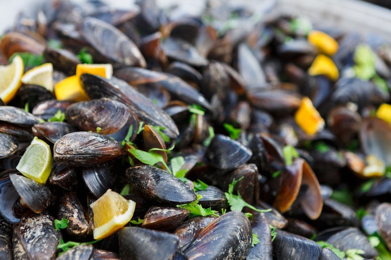 25th Annual Clam Festival