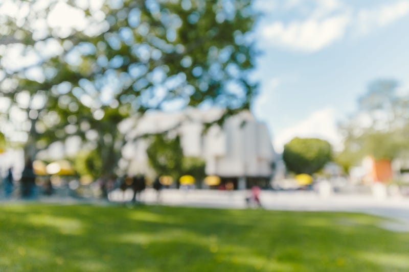 Blurry College Campus Field