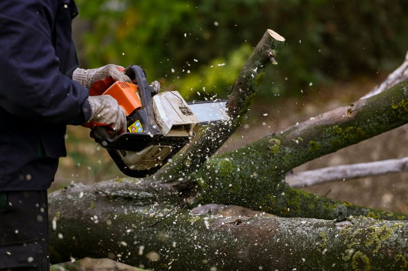 Chainsaw