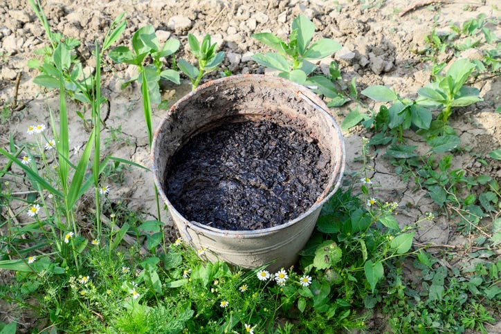 poop bucket