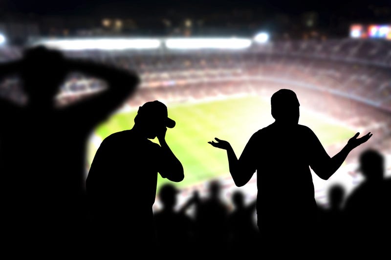 sports, fans, crazy