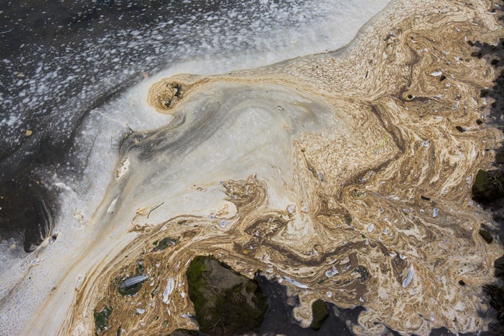 polluted water