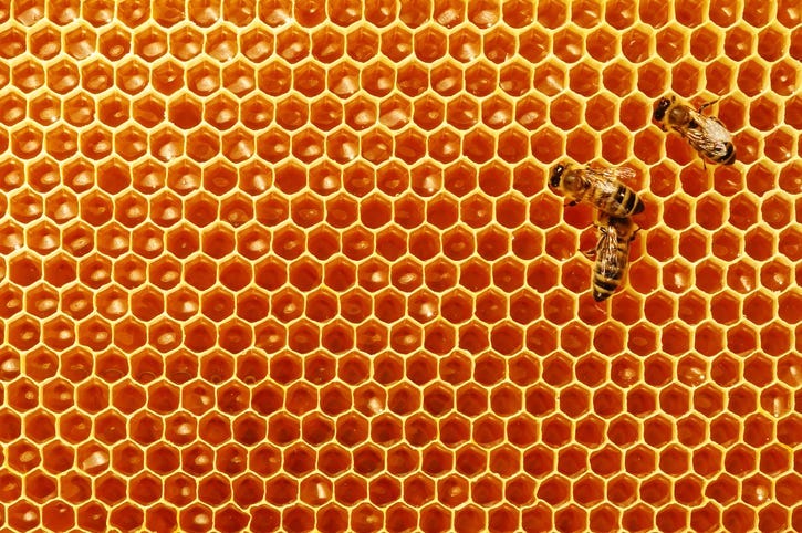 beehive