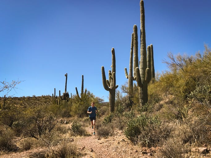 trail run through saguaro cacti near Phoenix