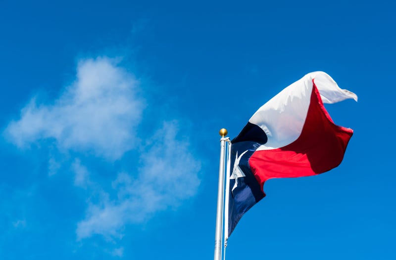 Texas State Flag
